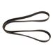 Contitech 8PK1325 V-riem
