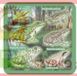 Soliton Sous-verres avec grenouilles, set de 2
