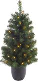 Everlands Kaemingk B.V. Kunstkerstboom met verlichting 120 cm