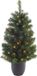 Everlands Kaemingk B.V. Kunstkerstboom met verlichting 120 cm