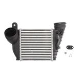 THERMOTEC DAA009TT Intercooler