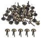 100 rivets en cuivre, 12 mm, pour le travail du cuir, bronze