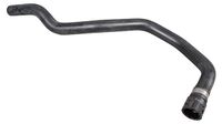 METZGER Tuyau de refroidissement, tuyau d'eau pour BMW 3 Limousine (E46), numéro d'article 2421534