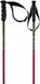 Volkl Phantastick Junior Stokken Transparant 80 cm