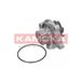 KAMOKA Pompe à eau T0042
