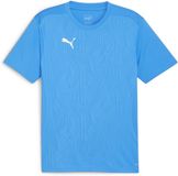 Puma Teamfinal Training Jersey S Ignite Blue-Puma Silver