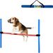maxxpro Spring obstakel voor hond rood/blauw 85 cm