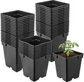 Garronda Set van 50 vierkante kunststof kweekpotten met drainagegaten voor tuin (Zwart, 11 x 11 x 12 cm (1L))