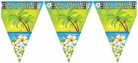 Merkloos / Sans marque Espa Nv Vlaggenlijn Hawaii Aloha - 3x - 5 meter - kunststof - Tropisch feest thema