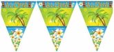 Merkloos / Sans marque Espa Nv Vlaggenlijn Hawaii Aloha - 3x - 5 meter - kunststof - Tropisch feest thema