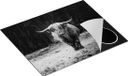 Chefcare Inductie Beschermer Schotse Hooglander - Zwart Wit - 65x55 cm