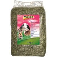 MultiFit Hooioogst 1 kg