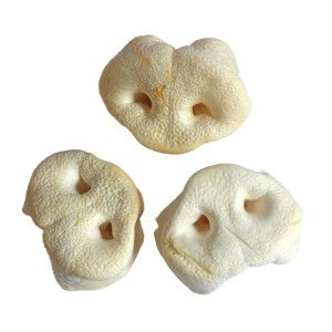 Brekz Snacks - Gepofte Varkensneus voor de Hond 2 x 10 stuks