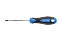 Hogert Technik Tournevis Torx T25 100mm Acier S2 Pointe Magnétique