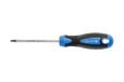 Hogert Technik Tournevis Torx T25 100mm Acier S2 Pointe Magnétique