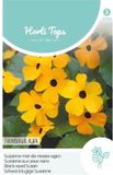 Hortitops Zaden - Thunbergia Alata Suzanne-met-de-mooie-ogen Bloemzaad