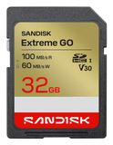 SanDisk Extreme GO 32 GB SDHC UHS-I