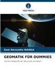 GEOMATIK Bol Geomatik Für Dummies