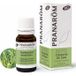 Pranarom Java Citronella Bio huile essentielle 10 ml