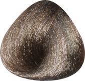 Toujours Trend Color 6 Dark Blonde