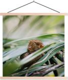 Merkloos / Sans marque TextilePosters B.V. Posterhanger incl. Poster 90x90 cm - Schoolplaat - Filipijns spookdier tussen de bladeren - Textielposter - Blanke latten