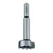 Cmt 537.120.31 Forstner bit, 12 mm (15/32) diameter, 8 mm schacht