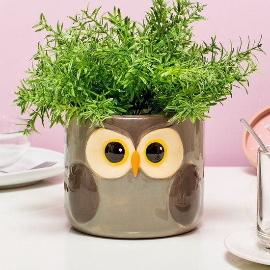 Balvi Dieren Bloempot - Uil - Keramiek - Rond - 13 cm - Bruin/Geel/Wit/Zwart