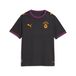 PUMA Maillot extérieur 26/27 Galatasaray SK Enfant et Adolescent, Accessoires, Gris, 7-8A