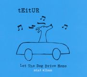 Teitur Laisser le chien conduire à la maison