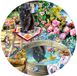SunsOut Puzzle Chat Kitty Reflections - 500 pièces