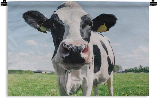 1001Tapestries Wandkleed - Koe - Weiland - Natuur - Dieren - Gras - 120x80 cm - Katoen - 1001Tapestries