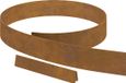 vidaXL - Grasafscherming - 4 stuks - 450 x 10 cm - Cortenstaal