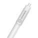 LEDVANCE LED-buis-Buis Energielabel: D (A - G) G5 T5 36 W Koudwit 1 stuk(s) (Ø x l) 19 mm x 1449 mm Niet dimbaar