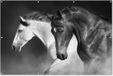Décoration murale Chevaux - Noir - Blanc - 180x120 cm - Affiche de jardin - Affiche d'extérieur