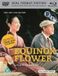 BFI Equinox Flower Blu-ray