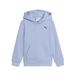 PUMA Sweatshirt lichtblauw