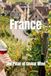 France: The Pillar of Global Wine