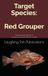 Target Red Grouper: Unlocking the Secrets of America's Favorite Bottom Dweller