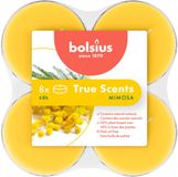 Bolsius True Scents Maxi Geurtheelichten Mimosa 8 stuks