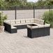 Prolenta Maison Exclusive - Tuinset voor in de tuin, bestaande uit 13 delen, met kussens, zwart, van polyrotan