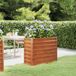 Prolenta Maison Exclusive - Verhoogde tuinbed, roestkleurig, 100x40x77 cm, cortenstalen uitvoering