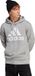 adidas Sportswear Essentials French Terry Big Logo Hoodie Heren Grijs