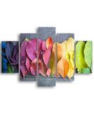 Homemania Wandfoto, motief "Die Welt der Color-5", natuur-pro woonkamer, meerkleurig, 95 x 0,3 x 60 cm, HM205MDF294, MDF