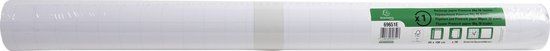 Exacompta 5x Navulling papier voor conferentiebord - 20 vellen met microperforaties PREMIUM - Bedrukking recto geruit / verso effen - geleverd in rollen. - Wit - 69651E
