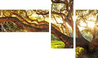Homemania Muurfoto, 3-delig, natuur en landschappen per woonkamer, slaapkamer - meerkleurig, van polyester, hout, 69 x 2 x 50 cm