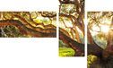Homemania Muurfoto, 3-delig, natuur en landschappen per woonkamer, slaapkamer - meerkleurig, van polyester, hout, 69 x 2 x 50 cm