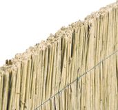 Tuindeco Rietplaat - Licht bruin - 200 cm x 200 cm