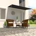 Maison Exclusive - Pare-soleil extensible, 350 x 150 cm, anthracite