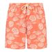 Shiwi Mike Swim Shorts