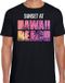 Bellatio Decorations Shoppartners Bv Sunset at Hawaii Beach T-shirt voor heren - Zwart - Maat M